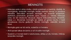 Prezentācija 'Neisseria meningitidis - meningokoki', 17.
