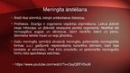 Prezentācija 'Neisseria meningitidis - meningokoki', 19.