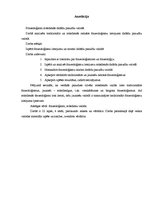 Referāts 'Frazeoloģismi mūsdienās dažādu paaudžu valodā', 3.