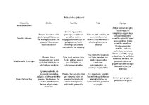 Konspekts 'Māszinību jēdzienu analīze', 1.