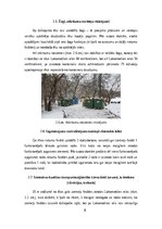 Paraugs 'Būves stāvokļa novērtēšana,
rīcības plāns būves pilnvērtīgas funkcionalitātes n', 8.