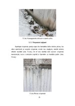 Paraugs 'Būves stāvokļa novērtēšana,
rīcības plāns būves pilnvērtīgas funkcionalitātes n', 26.