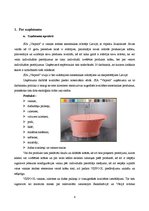 Referāts 'Iekšējais audits SIA "Vispool"', 4.