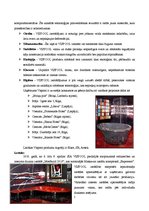 Referāts 'Iekšējais audits SIA "Vispool"', 5.