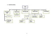 Referāts 'Iekšējais audits SIA "Vispool"', 6.