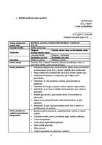 Referāts 'Iekšējais audits SIA "Vispool"', 13.