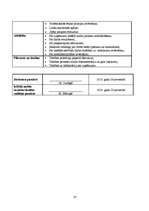 Referāts 'Iekšējais audits SIA "Vispool"', 14.