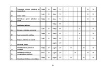 Referāts 'Iekšējais audits SIA "Vispool"', 24.