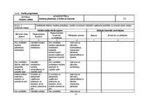 Referāts 'Iekšējais audits SIA "Vispool"', 33.
