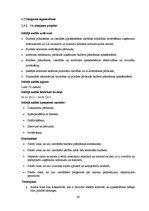 Referāts 'Iekšējais audits SIA "Vispool"', 39.