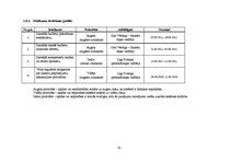 Referāts 'Iekšējais audits SIA "Vispool"', 41.