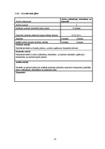 Referāts 'Iekšējais audits SIA "Vispool"', 43.