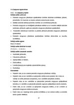 Referāts 'Iekšējais audits SIA "Vispool"', 67.