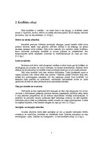 Referāts 'Konflikti', 5.