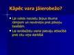 Prezentācija 'Varas dalīšanas princips', 13.
