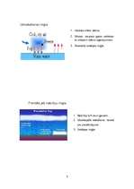 Referāts 'Migla', 6.