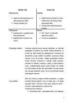 Biznesa plāns 'SIA "Gacho" ', 5.