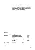 Biznesa plāns 'SIA "Gacho" ', 8.