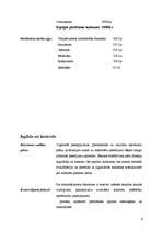 Biznesa plāns 'SIA "Gacho" ', 9.