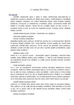 Referāts 'Liepājas Speciālās Ekonomiskās zonas raksturojums', 7.