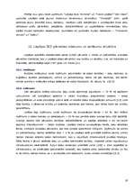 Referāts 'Liepājas Speciālās Ekonomiskās zonas raksturojums', 19.