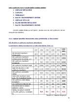 Referāts 'Liepājas Speciālās Ekonomiskās zonas raksturojums', 30.