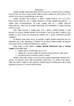 Referāts 'Liepājas Speciālās Ekonomiskās zonas raksturojums', 34.