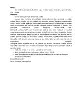 Referāts 'Liepājas Speciālās Ekonomiskās zonas raksturojums', 54.