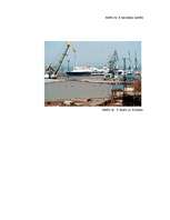 Referāts 'Liepājas Speciālās Ekonomiskās zonas raksturojums', 66.