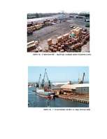 Referāts 'Liepājas Speciālās Ekonomiskās zonas raksturojums', 67.