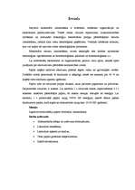 Referāts 'Smalcinātāja parametri otrreizējai papīra izmantošanai', 6.