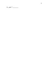 Prakses atskaite 'Muitas kontroles punkts "Silene"', 18.