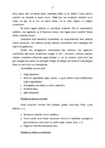 Referāts 'Inovācija uzņēmumā', 11.