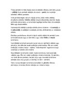 Konspekts 'Dzīvnieku evolūcija', 2.