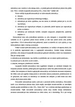 Referāts 'Uzņēmuma "Dental ARS" lietišķās komunikācijas sistēma', 7.