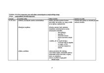 Prakses atskaite 'Aprūpes plāns traumatoloģijā', 17.