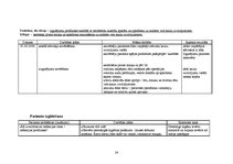 Prakses atskaite 'Aprūpes plāns traumatoloģijā', 24.