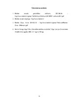 Referāts 'Babītes pašvaldības budžeta analīze', 12.