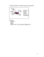 Referāts 'Svešvalodu nozīme mūsu dzīvē', 12.