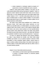 Prakses atskaite 'SIA "Bauskas tirgus"', 8.