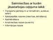 Prezentācija 'Skolēnu izveidota tūrisma firma "Wild Travel"', 25.