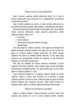 Referāts 'Uzņēmuma peļņa un rentabilitāte', 7.