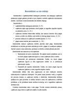 Referāts 'Uzņēmuma peļņa un rentabilitāte', 17.