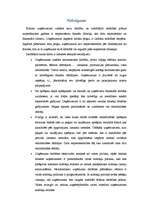 Referāts 'Uzņēmuma peļņa un rentabilitāte', 28.