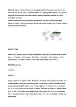 Referāts 'Maskava', 2.