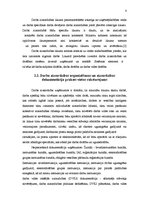 Prakses atskaite 'Sabiedriskās attiecības', 8.