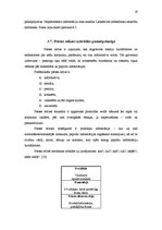 Prakses atskaite 'Sabiedriskās attiecības', 19.