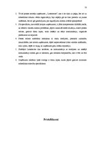 Prakses atskaite 'Sabiedriskās attiecības', 33.