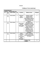 Prakses atskaite 'Sabiedriskās attiecības', 38.