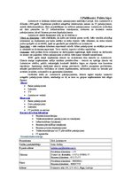 Prakses atskaite 'Sabiedriskās attiecības', 39.